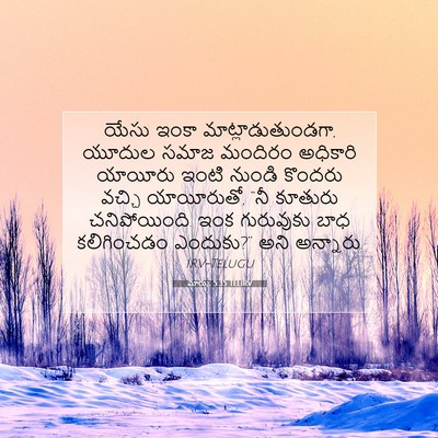 Picture 07 - మార్కు 5:35 TELIRV - యేసు ఇంకా - Bible Verse Picture