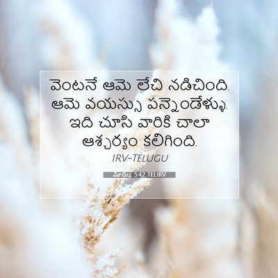 Picture 07 - మార్కు 5:42 TELIRV - వెంటనే ఆమె లేచి - Bible Verse Picture