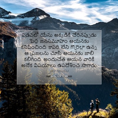 Picture 07 - మార్కు 6:34 TELIRV - పడవలో యేసు - Bible Verse Picture
