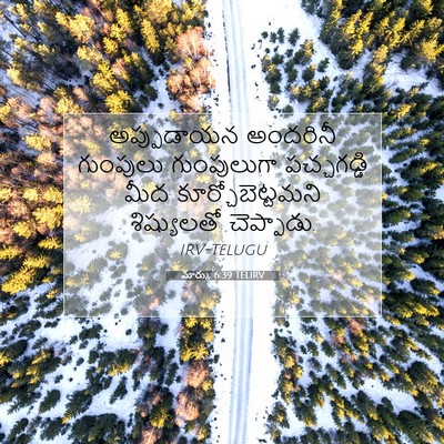 Picture 07 - మార్కు 6:39 TELIRV - అప్పుడాయన అందరినీ - Bible Verse Picture