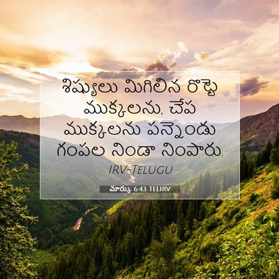 Picture 07 - మార్కు 6:43 TELIRV - శిష్యులు మిగిలిన - Bible Verse Picture