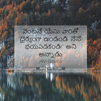 Picture 07 - మార్కు 6:50 TELIRV - వెంటనే యేసు - Bible Verse Picture