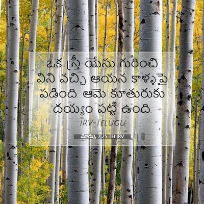 Picture 07 - మార్కు 7:25 TELIRV - ఒక స్త్రీ యేసు - Bible Verse Picture