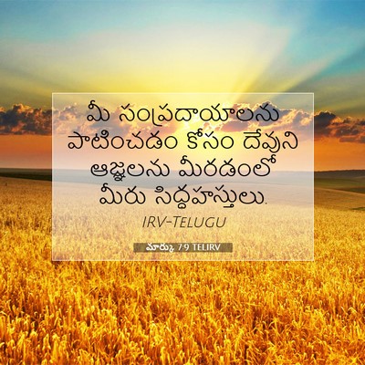 Picture 07 - మార్కు 7:9 TELIRV - మీ సంప్రదాయాలను - Bible Verse Picture