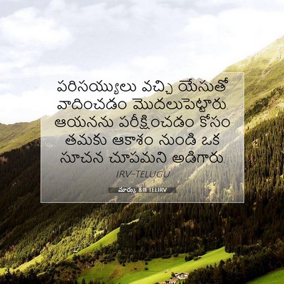 Picture 07 - మార్కు 8:11 TELIRV - పరిసయ్యులు వచ్చి - Bible Verse Picture