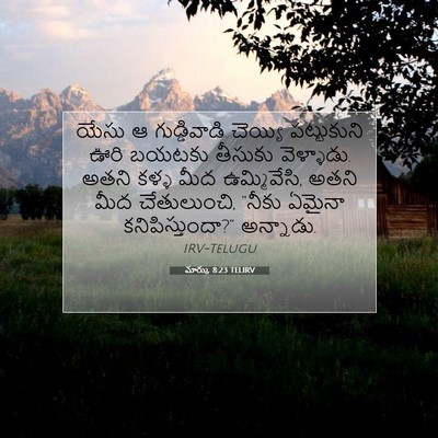 Picture 07 - మార్కు 8:23 TELIRV - యేసు ఆ గుడ్డివాడి - Bible Verse Picture