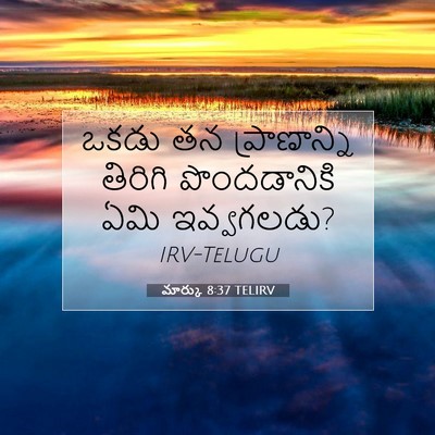 Picture 07 - మార్కు 8:37 TELIRV - ఒకడు తన - Bible Verse Picture