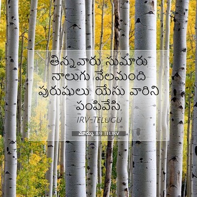 Picture 07 - మార్కు 8:9 TELIRV - తిన్నవారు సుమారు - Bible Verse Picture