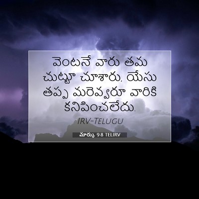 Picture 07 - మార్కు 9:8 TELIRV - వెంటనే వారు తమ - Bible Verse Picture