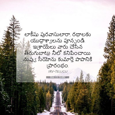 Picture 07 - మీకా 1:13 TELIRV - లాకీషు - Bible Verse Picture