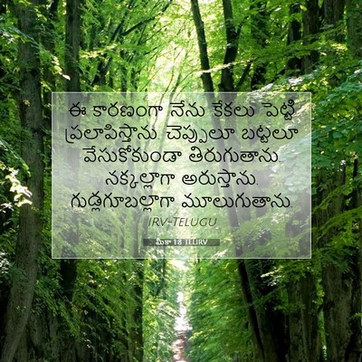 Picture 07 - మీకా 1:8 TELIRV - ఈ కారణంగా నేను - Bible Verse Picture