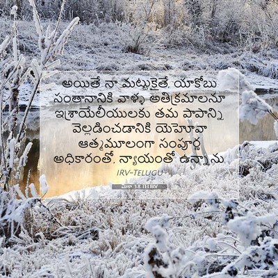 Picture 07 - మీకా 3:8 TELIRV - అయితే నా - Bible Verse Picture