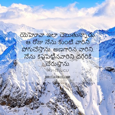 Picture 07 - మీకా 4:6 TELIRV - యెహోవా ఇలా - Bible Verse Picture