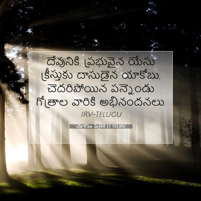 Picture 07 - యాకోబు పత్రిక 1:1 TELIRV - దేవునికి, - Bible Verse Picture
