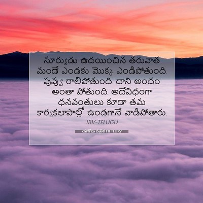 Picture 07 - యాకోబు పత్రిక 1:11 TELIRV - సూర్యుడు ఉదయించిన - Bible Verse Picture