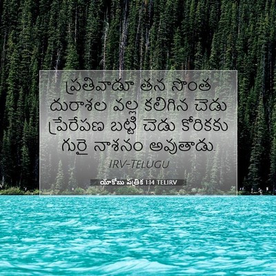 Picture 07 - యాకోబు పత్రిక 1:14 TELIRV - ప్రతివాడూ తన సొంత - Bible Verse Picture