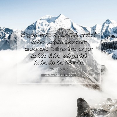 Picture 07 - యాకోబు పత్రిక 1:18 TELIRV - దేవుడు, తాను - Bible Verse Picture