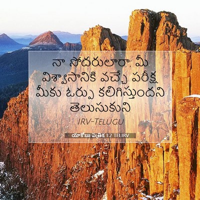 Picture 07 - యాకోబు పత్రిక 1:2 TELIRV - నా సోదరులారా, మీ - Bible Verse Picture