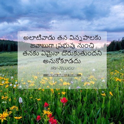 Picture 07 - యాకోబు పత్రిక 1:7 TELIRV - అలాటివాడు తన - Bible Verse Picture