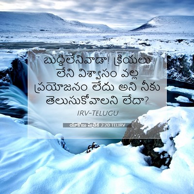 Picture 07 - యాకోబు పత్రిక 2:20 TELIRV - బుద్ధిలేనివాడా! - Bible Verse Picture