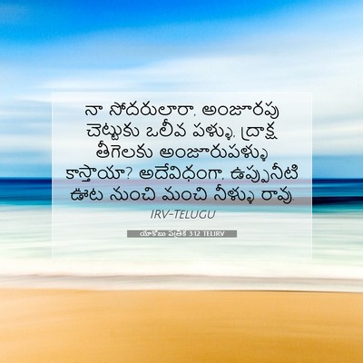 Picture 07 - యాకోబు పత్రిక 3:12 TELIRV - నా సోదరులారా, - Bible Verse Picture