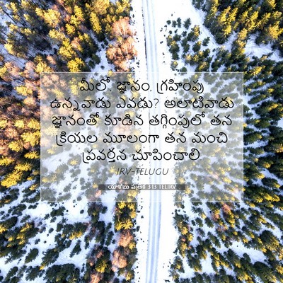 Picture 07 - యాకోబు పత్రిక 3:13 TELIRV - మీలో, జ్ఞానం, - Bible Verse Picture
