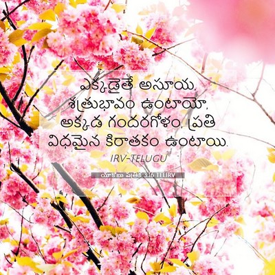 Picture 07 - యాకోబు పత్రిక 3:16 TELIRV - ఎక్కడైతే అసూయ, - Bible Verse Picture