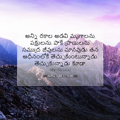 Picture 07 - యాకోబు పత్రిక 3:7 TELIRV - అన్ని రకాల అడవి - Bible Verse Picture