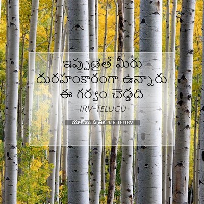 Picture 07 - యాకోబు పత్రిక 4:16 TELIRV - ఇప్పుడైతే మీరు - Bible Verse Picture