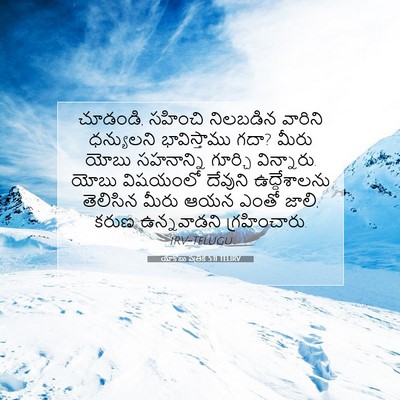 Picture 07 - యాకోబు పత్రిక 5:11 TELIRV - చూడండి, సహించి - Bible Verse Picture