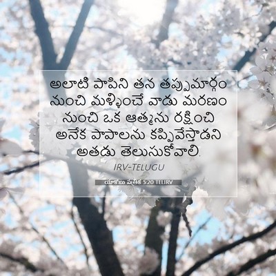 Picture 07 - యాకోబు పత్రిక 5:20 TELIRV - అలాటి పాపిని తన - Bible Verse Picture