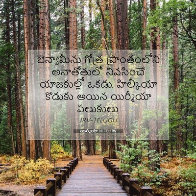 Picture 07 - యిర్మీయా 1:1 TELIRV - బెన్యామీను గోత్ర - Bible Verse Picture
