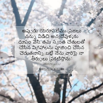 Picture 07 - యిర్మీయా 1:16 TELIRV - అప్పుడు యెరూషలేము - Bible Verse Picture
