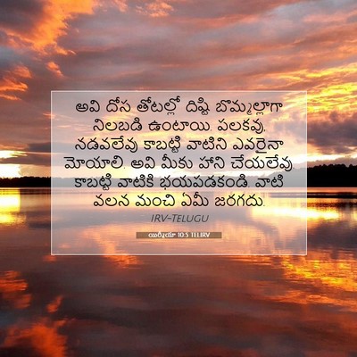 Picture 07 - యిర్మీయా 10:5 TELIRV - అవి దోస తోటల్లో - Bible Verse Picture