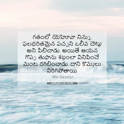 Picture 07 - యిర్మీయా 11:16 TELIRV - గతంలో యెహోవా - Bible Verse Picture