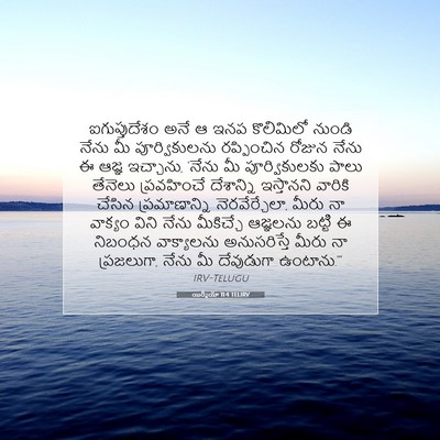 Picture 07 - యిర్మీయా 11:4 TELIRV - ఐగుప్తుదేశం అనే ఆ - Bible Verse Picture