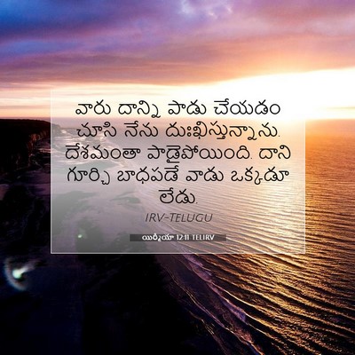 Picture 07 - యిర్మీయా 12:11 TELIRV - వారు దాన్ని పాడు - Bible Verse Picture