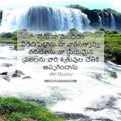 Picture 07 - యిర్మీయా 12:7 TELIRV - నేను నా మందిరం - Bible Verse Picture