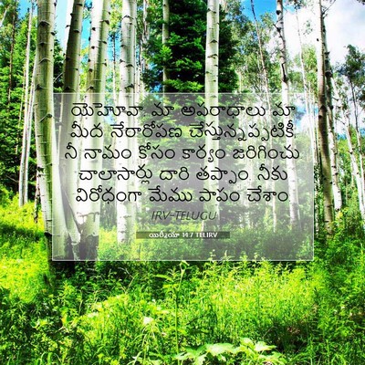 Picture 07 - యిర్మీయా 14:7 TELIRV - యెహోవా, మా - Bible Verse Picture