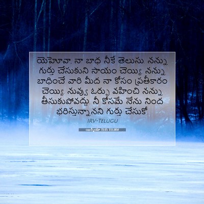 Picture 07 - యిర్మీయా 15:15 TELIRV - యెహోవా, నా బాధ నీకే - Bible Verse Picture
