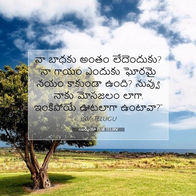 Picture 07 - యిర్మీయా 15:18 TELIRV - నా బాధకు అంతం - Bible Verse Picture