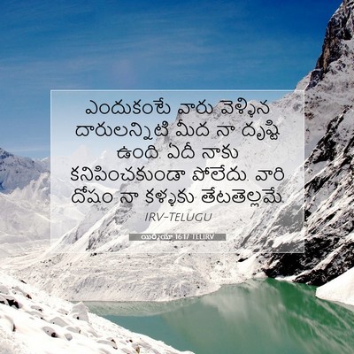 Picture 07 - యిర్మీయా 16:17 TELIRV - ఎందుకంటే వారు - Bible Verse Picture