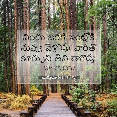 Picture 07 - యిర్మీయా 16:8 TELIRV - విందు జరిగే - Bible Verse Picture