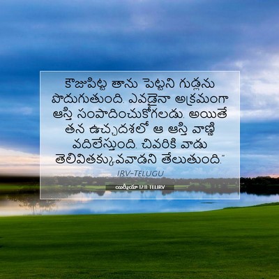 Picture 07 - యిర్మీయా 17:11 TELIRV - కౌజుపిట్ట తాను - Bible Verse Picture