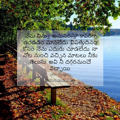 Picture 07 - యిర్మీయా 17:16 TELIRV - నేను నిన్ను - Bible Verse Picture