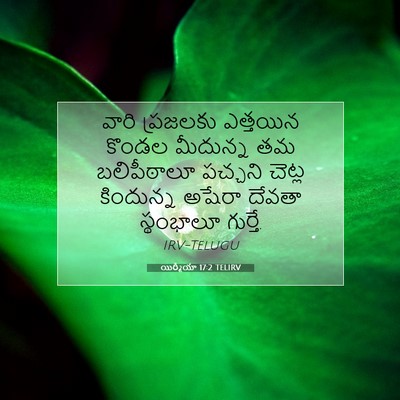 Picture 07 - యిర్మీయా 17:2 TELIRV - వారి ప్రజలకు - Bible Verse Picture