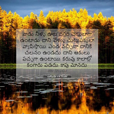 Picture 07 - యిర్మీయా 17:8 TELIRV - వాడు నీళ్ళ ఊట - Bible Verse Picture