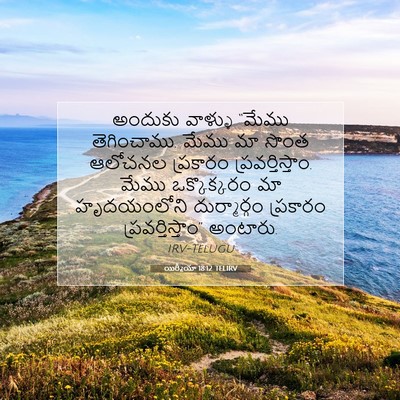 Picture 07 - యిర్మీయా 18:12 TELIRV - అందుకు వాళ్ళు - Bible Verse Picture