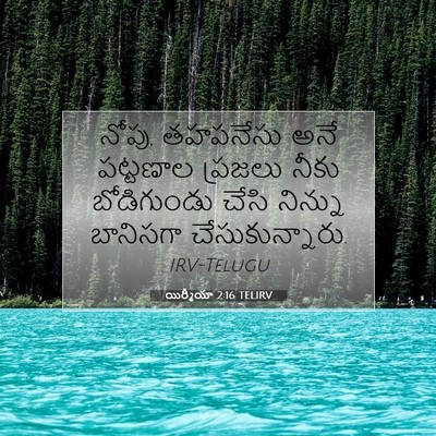 Picture 07 - యిర్మీయా 2:16 TELIRV - నోపు, తహపనేసు అనే - Bible Verse Picture