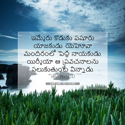 Picture 07 - యిర్మీయా 20:1 TELIRV - ఇమ్మేరు కొడుకు - Bible Verse Picture